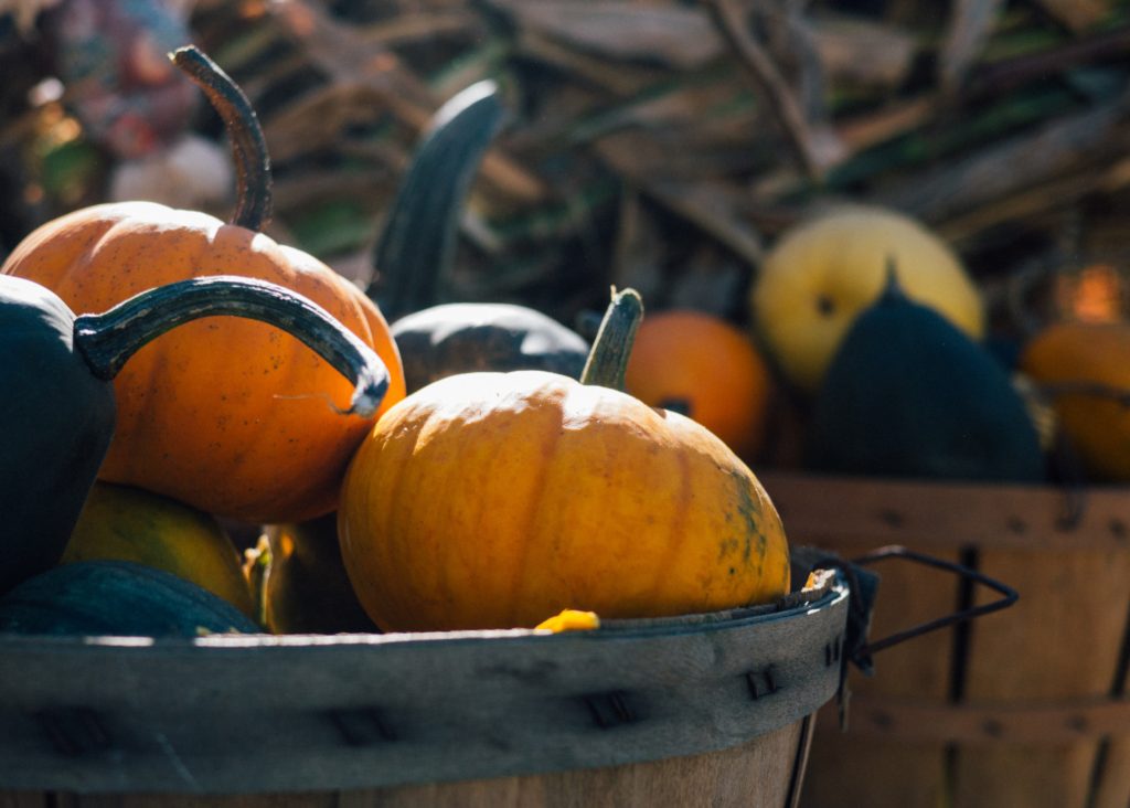 Eagle Ranch Pumpkin Patch 2019