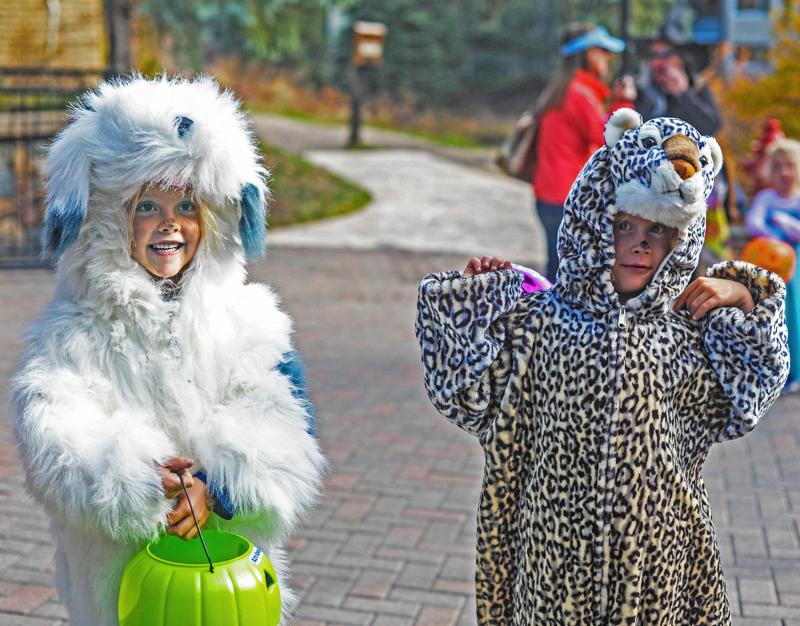 Vail Trick or Treat Trot